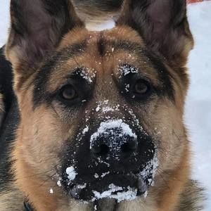 Meet your Posher, Rene